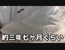 Youtubeチャンネル６周年解説記念を迎えて今の気持ちを伝えたい。【ころん】すとぷり