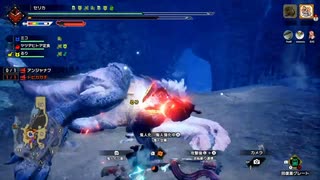 【MHRiseサンブレイク】てすと（さんぶれいく）その5