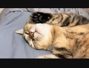 もう少し端に…