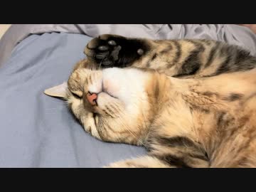 もう少し端に…