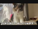 猫もかちんの「なんかくれ」