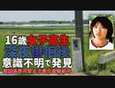 茨城県岩井市女子高生殺害事件 ホモと語る未解ケツ事件.coldcase.60