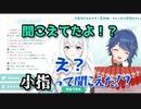 【切り抜き】小指のサラダ！？【VTuber切り抜き】