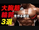 【筋トレ】大胸筋の輪郭を作る種目 3選 | 現役ボディビルダーが解説【ビーレジェンド プロテイン】