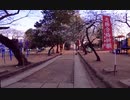 埼玉県川越市宮下町-久保町辺りを歩く 【散歩 #148】
