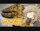 第74位：【春日部つむぎ】人はいずれ死ぬのでカロリーゼロ 【ウツボ】【ボイロキッチン】