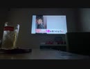 RADWIMPS　五月の蝿歌ったよぉん