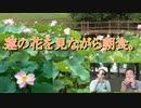 蓮の花を見ながら朝食。