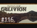 実況 ◇ The Elder Scrolls IV: オブリビオン ◇ 第116幕