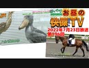 お昼の快傑TV196回0723_2022