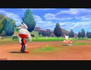 【ポケットモンスター ソード・シールド】　シールド　初プレイ　5回目