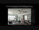 Ceiling Fan With Remote