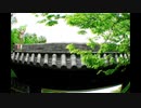 琴を始めたずんだもん