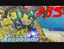 【実況】限りなく初見に近い『ゼノブレイドDE』を全力で楽しむ　#35