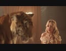 Sabrina Carpenter - Because I Liked a Boy
