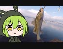 【ソフトウェアトークフィッシング】ずんだもんの釣り４