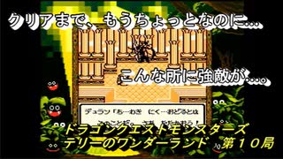 【ゲーム実況】２０数年ぶりにプレイする！『ドラゴンクエストモンスターズ　テリーのワンダーランド』第１０局