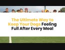 The Ultimate Way to Keep Your Dogs Feeling Full After Every Meal