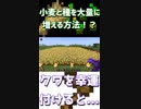 畑に大量の食べ物や作物が欲しい場合はエンチャントを付けると...「#shorts 」【minecraft】【マインクラフト】【マイクラ】