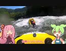 みなかみで急流下りをするずんだもん