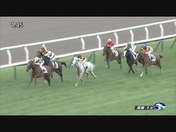 【競馬】2022年　2歳未勝利　【アオラキ】