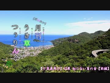 【小豆島再び】42草 知らない夏の音【ゆかり車載】