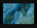 【NNIオリジナル】Kimono Hanagara