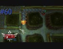 地下世界の主モルドワーム【ゼルダの伝説 スカイウォードソードHD】#60