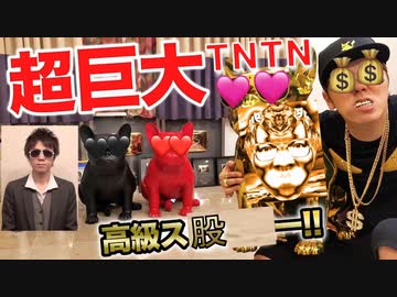 【カキンa.v.a.課金と書いて アヴァですね】超巨大TNTN♪ヌプドッグス股がゴシゴシゴシゴシ(省略)すぎて矢部ェ…