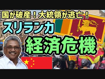 【ゆっくり解説】原因は債務の罠？スリランカ経済危機