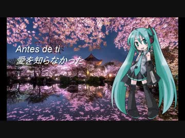 【初音ミク】Antes De Ti【VOCALOID2カバー】