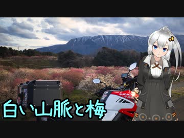 近畿おバイク風景案内２８ 白い山脈と梅【V-STROM1050XT】