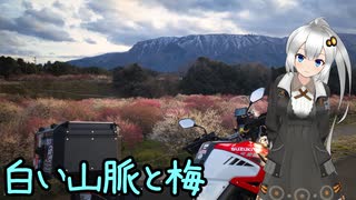 近畿おバイク風景案内２８ 白い山脈と梅【V-STROM1050XT】