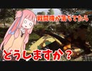 【BF4】戦闘機が地上に落ちてたら乗りますか？パート2