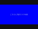 こちらに気付くKYNBB