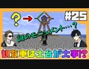 25【マイクラ】ビーチから見える観覧車！？土台から取り掛かっていくぅ！#25【HOSクラ】