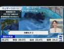 【白井ゆかり】プールで喜ぶ犬と冷静に見つめる猫のリポート
