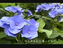 【UTAUカバー】勿忘／愚愛ワルイ&アスタレイタ