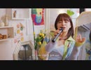 Rothy -  Medley Live