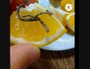 夏みかんに肉厚とろける塩昆布いそ松葉ほしいデザートとゆうよりサラダ 久々レコードかけたら夏みかんいっぱい違った懐かしい感いっぱい