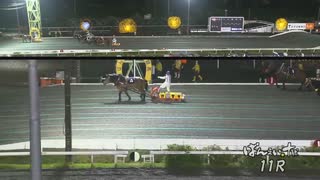 第53回旭川記念 メムロボブサップ