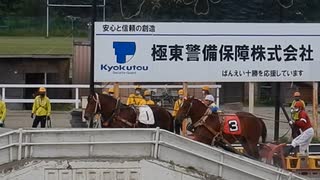 ばんえい競馬