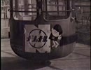 さよなら横浜ドリームランド（ＶＨＳ）