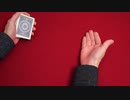 347 ラバ ダブ バニッシュの考察