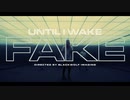 Until I Wake - Fake