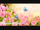 【無料フリーBGM】ほのぼのクラシカル＆メルヘン曲「Afternoon_Garden」