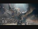 【MHRS】発売日から全モンスターを倒すまで【実況】part11
