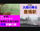 ST080-16　駅中散歩：大雨の豊橋駅で休日乗り放題きっぷを買う【サクラ＊サク　桜神社＆佐久神社合格祈願の旅】