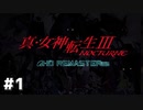【真・女神転生Ⅲ初見実況】#1