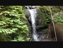 夏の滝の音